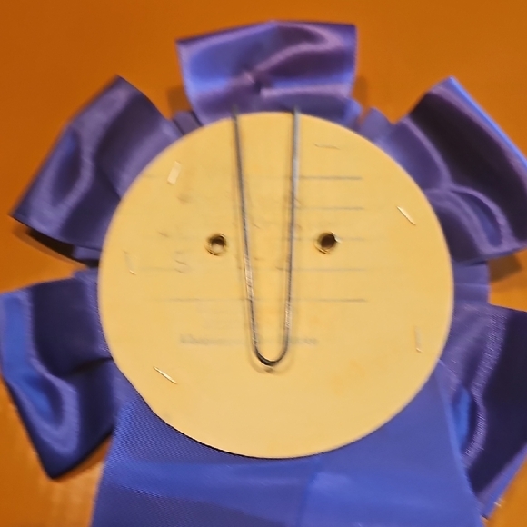 4 Vintage original 1967 1968 Horse Show Rosettes Bosque Farms Rodeo Ass'n - Picture 11 of 15